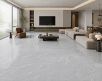 Carreaux de sol en porcelaine émaillée effet marbre gris clair brillant 60x60 (600x600mm) de Foshan