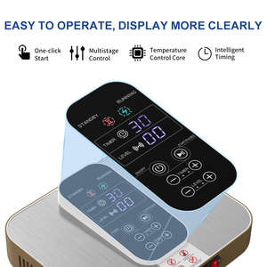 2025 nuevo P999 masajeador de pies de energía térmica Thz Tera P90 dispositivos de terapia de vida Oly instrumento terapéutico Terahertz - Product Image 2