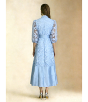 Robe longue élégante pour femme, col montant uni, col en V, manches bouffantes, taille naturelle avec ceinture, style princesse, en dentelle, pour printemps, été et automne