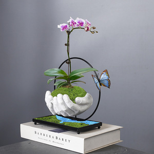 Style moderne Phalaenopsis Bonsaï Jardinière Rétro Fer Micro Paysage <span class=keywords><strong>Bassin</strong></span> Arbre Riche Intérieur Île <span class=keywords><strong>Flottante</strong></span> Rétro Riz Bambou - Product Image 3