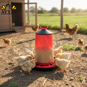 Comedero Automático para Pollos de 20 kg, 44x62 cm, Plástico, AYTAV, Nuevo Equipo de Transporte para Aves Vivas en Granjas Avícolas - Product Image 4