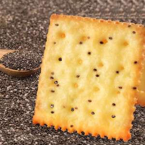 Galletas crujientes de semillas de chía con sal al por mayor - Product Image 4