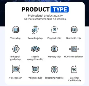 WT2605-16S 16 पिन ब्लू टूथ 5.0 आवाज आईसी चिप डैक 16bit मोनो उत्पादन समर्थन यू डिस्क फ्लैश TF कार्ड के साथ 4G वाईफ़ाई डाउनलोड मॉड्यूल