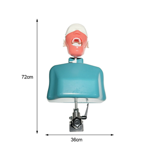 YOUYA DENTAL MX-108 Modèle de tête et de corps de mannequin pour la formation dentaire, équipement de pratique pour l'enseignement en dentisterie - Product Image 3