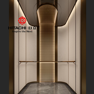 Ascenseur hydraulique Hitachi pour maison, prix pour 2/3/4 étages, intérieur/extérieur - Product Image 5