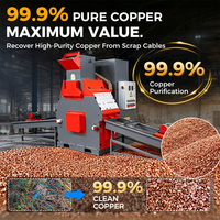 Granulateur de cuivre Lansing haute capacité 100-250 kg/h pour le recyclage des câbles et fils de cuivre