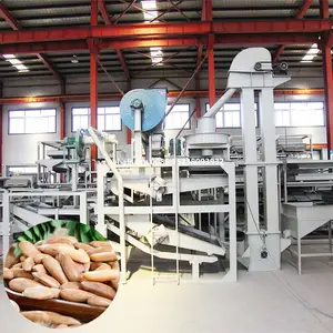 Pine Nuts Skin Removing Machine Nuts Peeling Machine Nuts Peeler And Remover