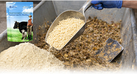 BlueRumen RumiLys - L-lisina Específica para Rumiantes, Aminoácido, Minerales y Oligoelementos en Polvo, Aditivo para Piensos, Promueve el Crecimiento Saludable