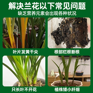 Polisacárido de Orquídea Cpai 300ml, Fertilizante Listo para Rociar, para Enraizamiento, Germinación y Promoción de Floración - Product Image 4