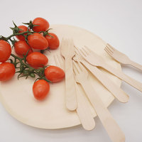 Ensemble de couverts jetables en bois de bouleau naturel de couleur naturelle en gros, 140 mm/160 mm, tailles personnalisées, cuillère, fourchette, couteau, échantillons gratuits