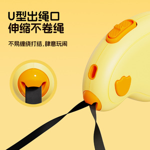Automatic Retractable Dog Leash Nylon <b>Small</b> Breed Outdoor Walking Light <b>Weight</b> Wrist Strap Safety Design - Product Image 2
