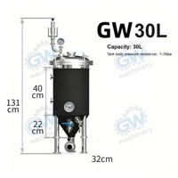 Équipement de brassage à domicile, micro-brasserie, capacité 30L-70L, système de brassage tout-grain avec réservoir sous pression et moteur pour la bière