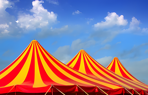 Lona <span class=keywords><strong>de</strong></span> Toldo FLFX Impermeable y Resistente, Recubierta <span class=keywords><strong>de</strong></span> PVC, con Rayas <span class=keywords><strong>de</strong></span> Poliéster, para Terraza - Product Image 5