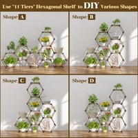 Support de Plantes Hexagonal en Bois d'Eucalyptus Écologique pour Intérieur avec Trous de Drainage, Auto-Arrosage, Créatif et Réglable pour la Maison