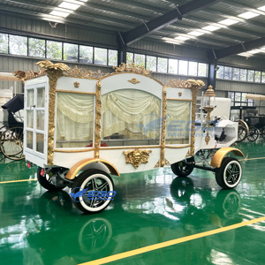 รถศพไฟฟ้า ราคาโรงงาน รถพิธีศพไฟฟ้า รถขนส่งพิเศษสำหรับงานศพ - Product Image 2