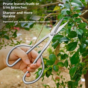 <strong>Bonsai</strong> Tool Set Silvery 3-Year Warranty Manual Ball Joint <strong>Shear</strong> Oblique Ball <strong>Shear</strong> Integrated Leaf Bud <strong>Shear</strong> Potted Plant - Product Image 3