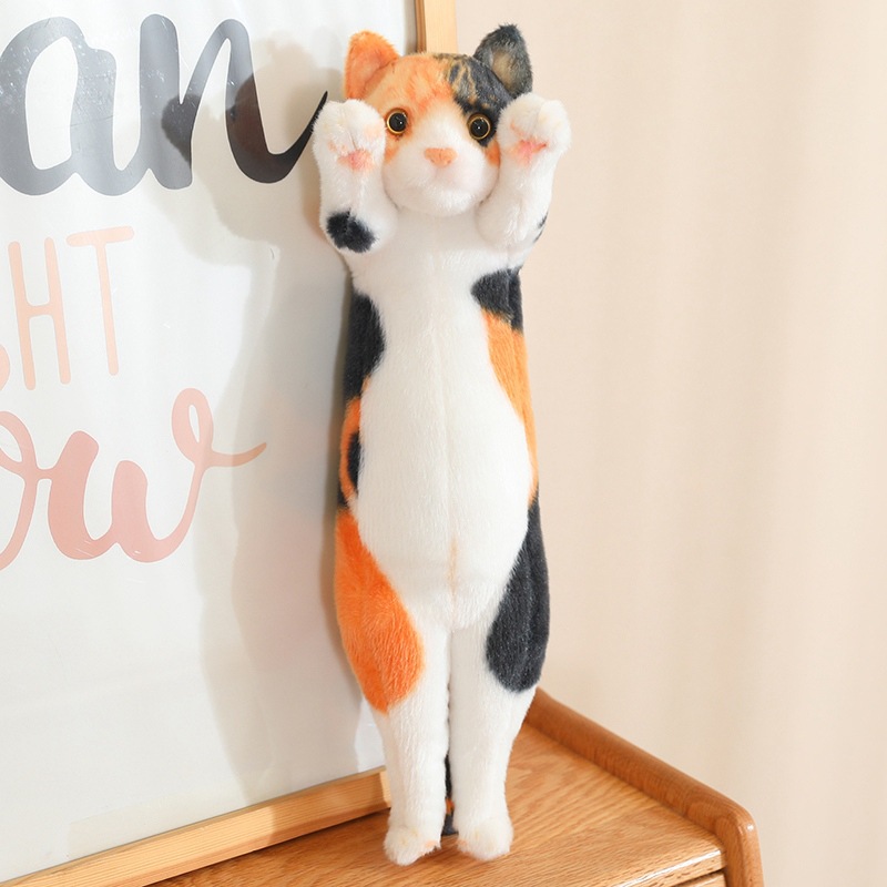 gato tricolor