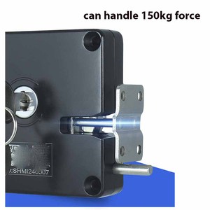 Serrure électromagnétique à clé mécanique 12V 2A pour armoire, bagages, stockage autonome, distributeur automatique de fitness, casier solénoïde - Product Image 6