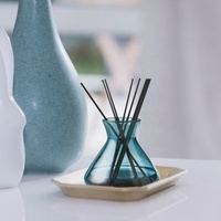 Bouteilles vides en verre en forme de cône pour diffuseur de parfum, vente en gros, 200 ml