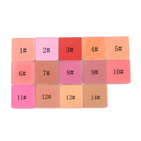 Poudre de fard à joues Pigment de marque privée Vegan Blush longue durée Palette de maquillage Logo personnalisé Vente en gros Emballage rose sans cruauté