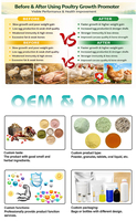L-Lysine en poudre de qualité alimentaire pour animaux Lanchen Shandong (CAS 657-27-2) – Additif alimentaire favorisant la santé nutritionnelle et enzymatique