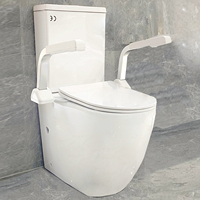 Siège de toilette ergonomique à rabat pour personnes âgées et handicapées, monobloc, accessible, pour hôpital public, salle de bain sanitaire, armoire de toilette pour seniors