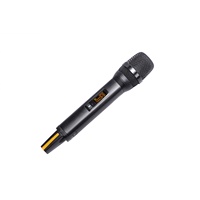 RIY-20a avec microphone sans fil 93A True Diversity IR infrarouge 2 canaux Distance de travail de 250 mètres pour la performance