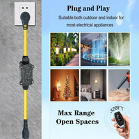 Prise sans fil étanche AC 110V 220V 20A avec télécommande RF pour systèmes d'irrigation de serres