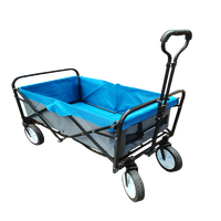 Chariot de transport pliable pour extérieur, camping, plage, pique-nique, chariot de camping pliable pour enfants, capacité 100 kg, acier