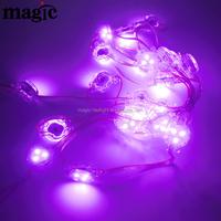 DMX 512 UCS1903 WS2811 12V SPI RGB Numérique 30mm Pixel LED Adressable IP67 pour Éclairage Décoratif de Paysage