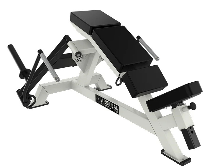 Blanco y Negro -- máquina inclinada ascendente del pájaro