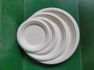 <span class=keywords><strong>Plateau</strong></span> de service en fibre de canne à sucre Bagosse pour la restauration - Product Image 4