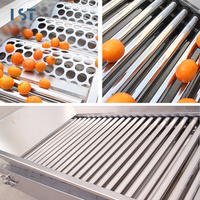Geoptimaliseerde maat, volautomatische sorteerder voor fruit en groenten van roestvrij staal, 3-6 sorteerstanden, sorteert efficiënt mango's en dadels