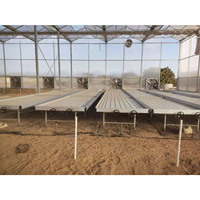 Grote Hoge Sterkte Enkelvoudige Overspanning Kas 4Mm Pc Sheet Cover Voor Kleine Tomaat Hydrocultuur Te Koop