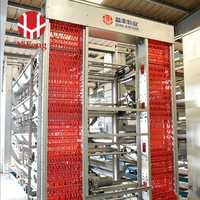 Cage à poules automatique de type H, 4 ou 5 niveaux, haute densité, pour 20 000 oiseaux, en acier galvanisé à chaud, poulailler OEM
