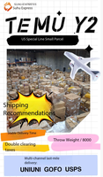 Logistique LCL DDP Internationale Shopify Dropshipping USA FBA TikTok Agent d'expédition rapide porte-à-porte par air/express avec support 24/7