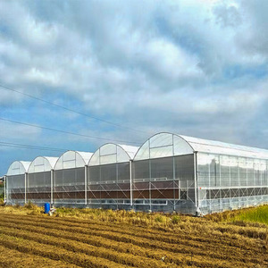 Serre agricole multi-travées avec couverture en film PE double couche et structure galvanisée pour la culture des cultures - Product Image 3