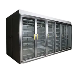 Customized Display Cold Room Glass Doors Walk in Cooler Freezer