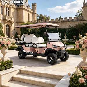 Carrito de Golf Eléctrico de Litio de 4 Ruedas al por Mayor, Buggy de 2 a 6 Plazas con Luces para Recorridos Turísticos en Resorts - Product Image 1