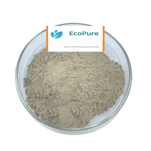 Порошок листьев лопуха обыкновенного (Брахми) 99% чистоты, пищевой, вакуумная упаковка в барабанах и пластиковых контейнерах - Product Image 1