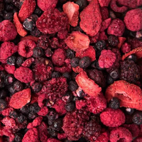 OEM Gefroren Gedroogde Fruitmix Chips Frambozen Cranberries Aardbeien Bosbessen Gefroren Gedroogde Mix Bessenblokjes 100g Verpakking