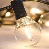 Ampoule à filament LED G40 1W, culot E12, en PC, pour usage extérieur, 220V, 3V, pour guirlandes lumineuses décoratives pour la maison et les jardins