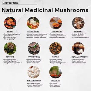 LUVVITA Suplemento Herbal <span class=keywords><strong>Natural</strong></span> Atacado 10 em 1 Complexo de Cogumelos de Alta Potência Antioxidante Suporte Imunológico 90 Cápsulas Saúde - Product Image 3