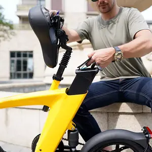 Elektrikli bisiklet üreticisi ön arka çift disk frenler 250w 36v lityum pil elektrikli bisiklet