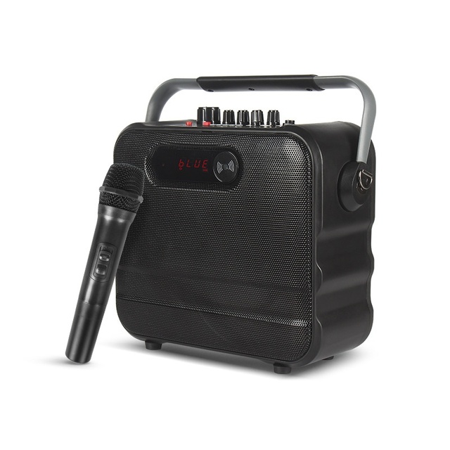 Portable Handheld Outdoor Speaker Home Wireless Audio with Microphone