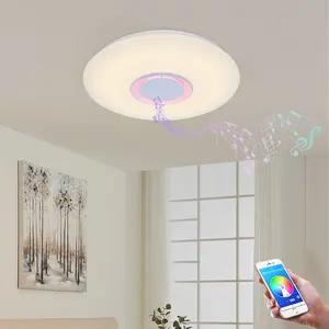 High Quality Indoor Decorative Living Room Dimming Smart Control 24w Led Round Ceiling Music Light