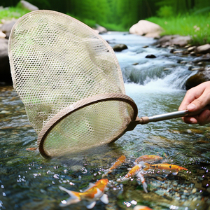 Hot bán trẻ em nhỏ Bug côn trùng hộp Set, vui Bọ Cánh Cứng bướm KEEPER cho trẻ em, nhựa Bug Catcher Set với Net - Product Image 6