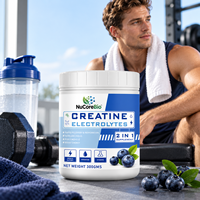 Poudre d'électrolytes multi-saveurs sans sucre, nutrition sportive pour adultes, créatine monohydrate, poudre en marque privée