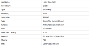 Limpiador a Vapor Profesional de Alta Potencia, Personalizable, con Función de Limpieza de Tapicería - Product Image 4