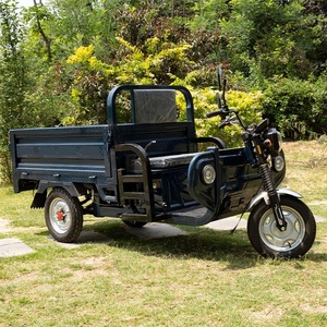 Triciclos Dobles de 48V 60V, Triciclo Convertible con Cabinas, Triciclo para Adultos - Product Image 2